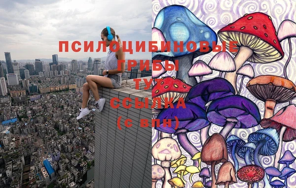 ГАЛЛЮЦИНОГЕННЫЕ ГРИБЫ Алзамай