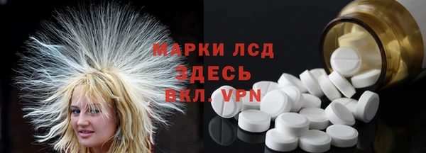ГАЛЛЮЦИНОГЕННЫЕ ГРИБЫ Алзамай