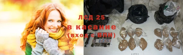 ГАЛЛЮЦИНОГЕННЫЕ ГРИБЫ Алзамай