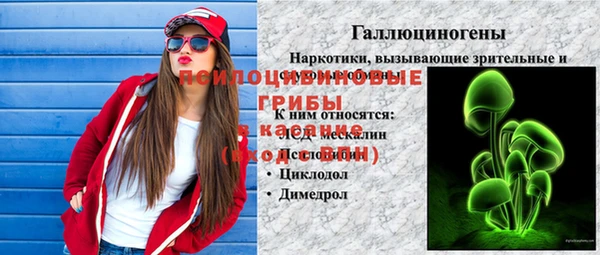 эйфоретик Алексеевка