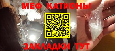 прущие грибы Бийск