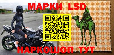 эйфоретик Берёзовский