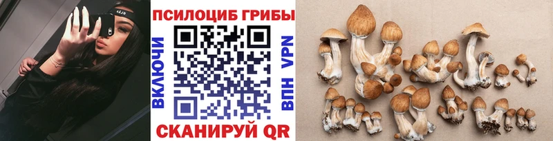 Псилоцибиновые грибы GOLDEN TEACHER  закладки  Киров 