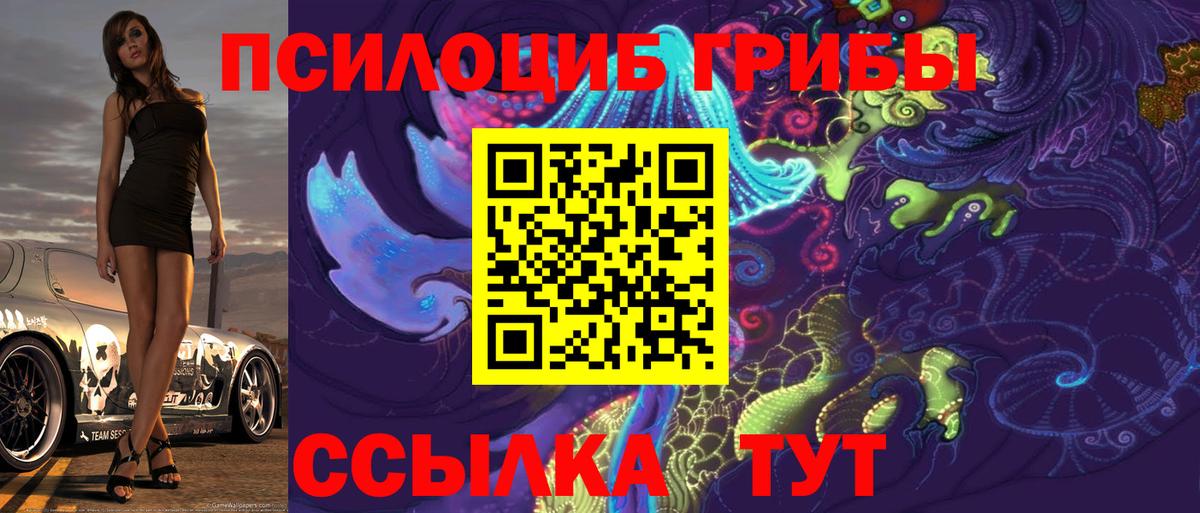 Псилоцибиновые грибы MAGIC MUSHROOMS  Вход с VPN  Киров  Псилоцибиновые грибы Cubensis 